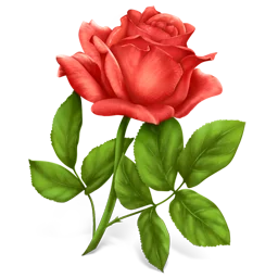 Rosa sin espinas