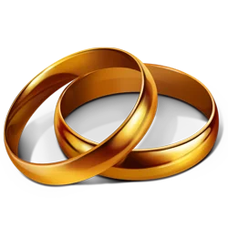 Anillos de matrimonio