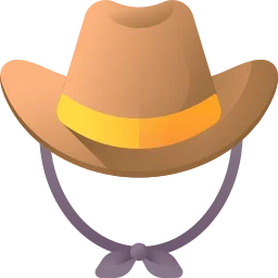 Sombrero vaquero