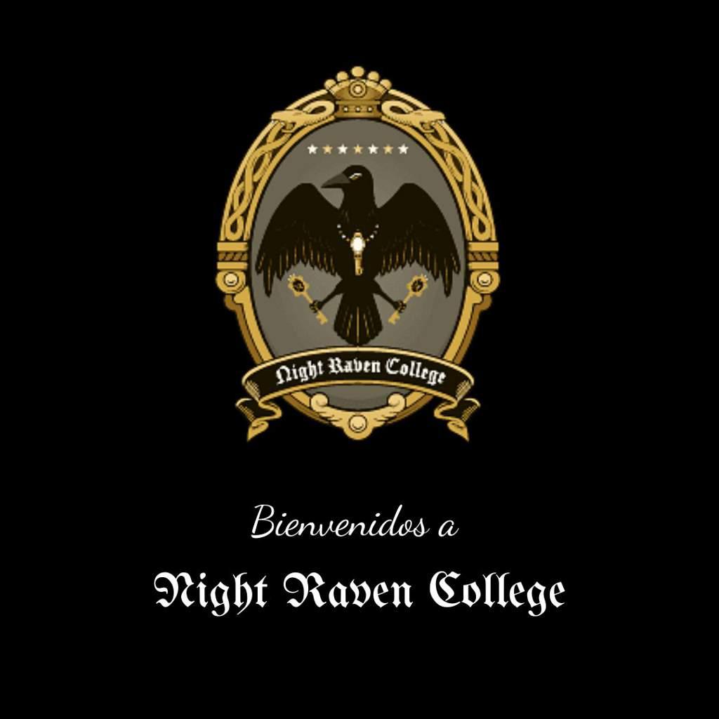 Night Raven College