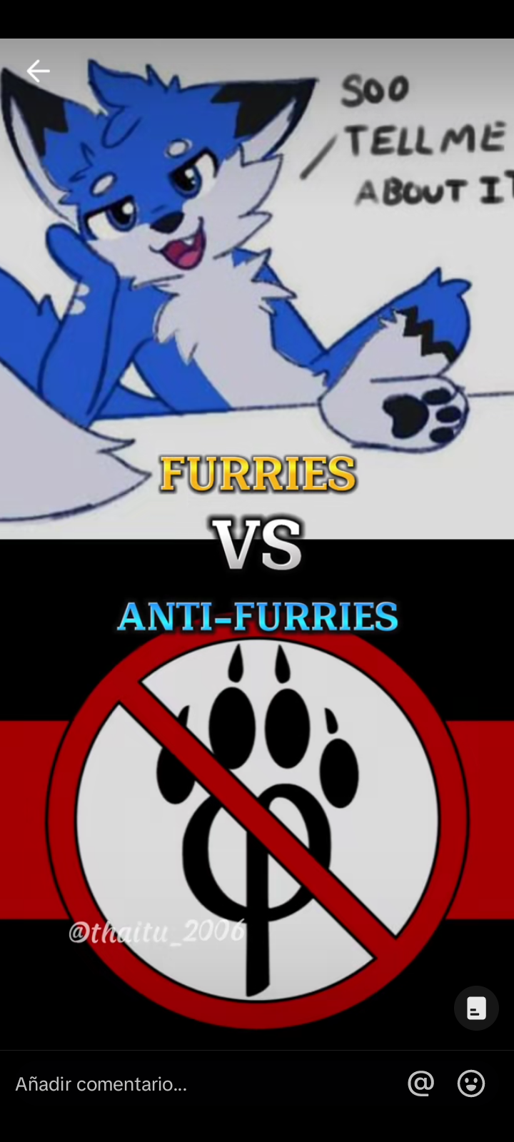 Furries vs Cazadores