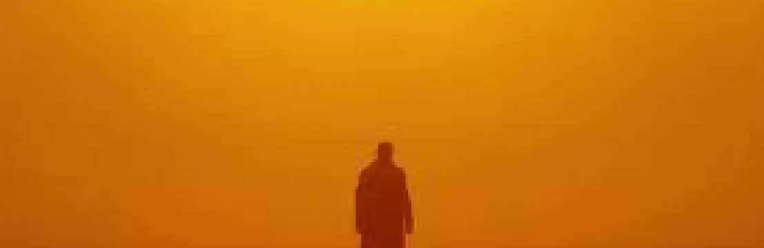 Joe 士 