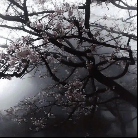 ☆ B&uacute;squedas 