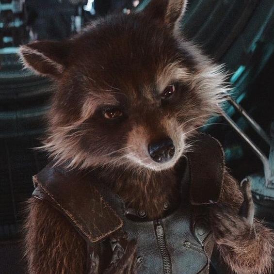 Rocket Raccoon 