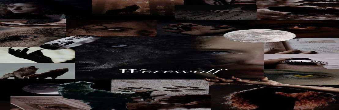 𝑨𝒍𝒆𝒔𝒔𝒊𝒂 𝑴𝒐𝒓𝒆𝒕𝒕𝒊