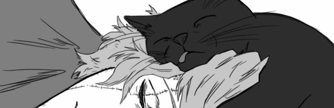 Mateo Blackcat