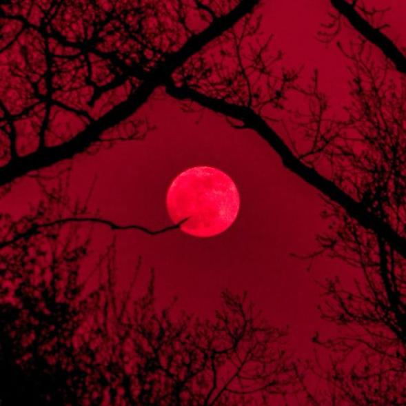 La luna Roja 