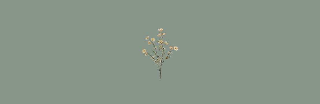 Liliane Castinger