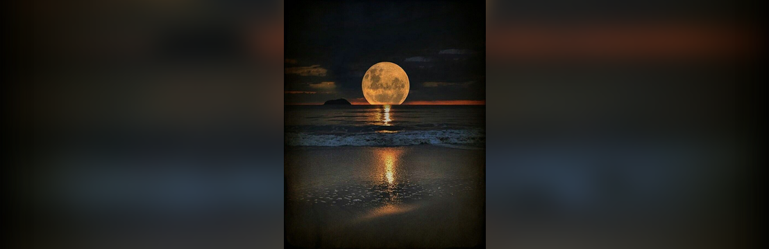 Moon Jung