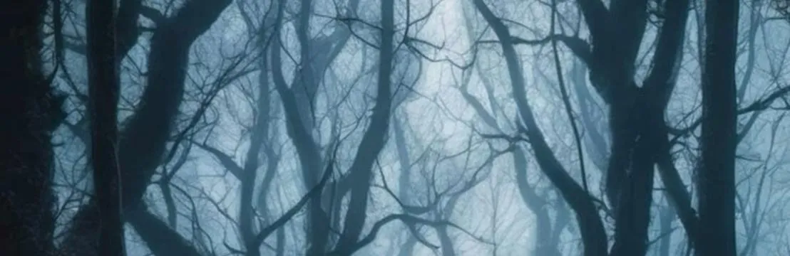 𝐌𝐚𝐧𝐬𝐢𝐨𝐧 𝐓𝐡𝐨𝐫𝐧