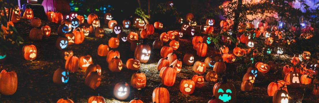 FIESTA HALLOWEEN ANUAL DE LA FAMILIA MIKAELSON — 3ª edición