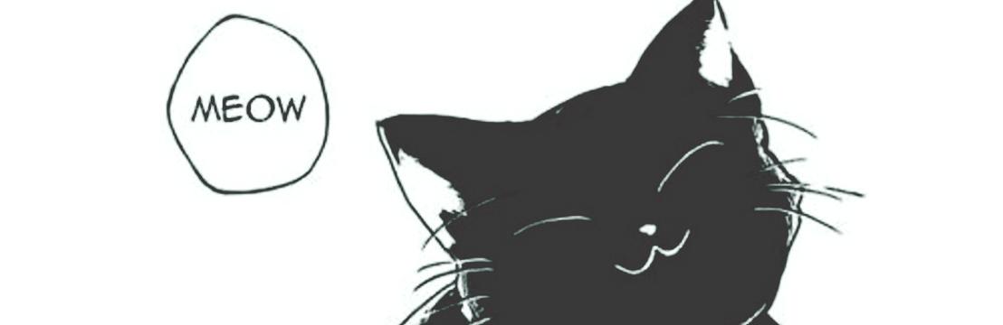 𝐸𝓇𝒾𝓈 The black cat