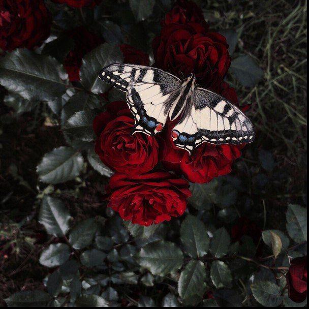 𝐀𝐝 𝐀𝐬𝐭𝐫𝐚 𝐏𝐞𝐫 𝐀𝐬𝐩𝐞𝐫𝐚