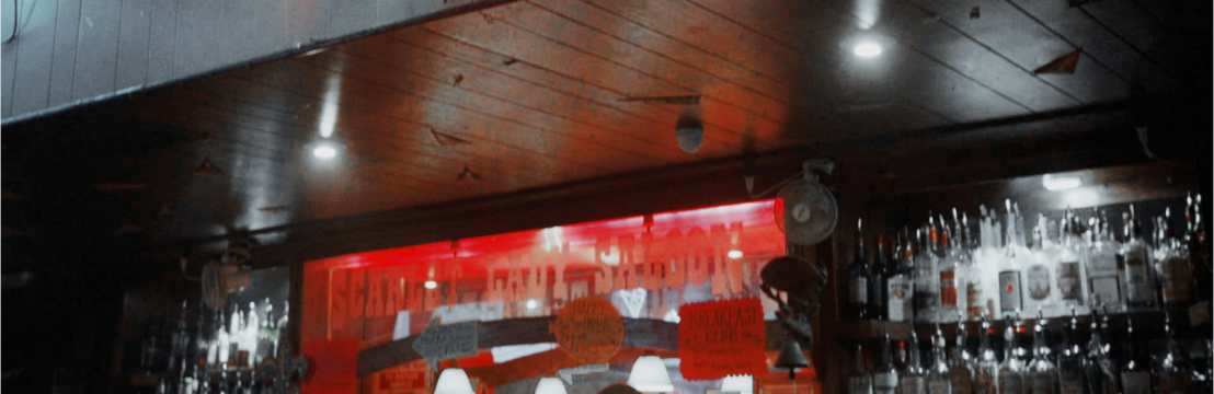 𝘎𝘈𝘝𝘐𝘕 𝘓𝘈𝘕𝘎𝘍𝘖𝘙𝘋 