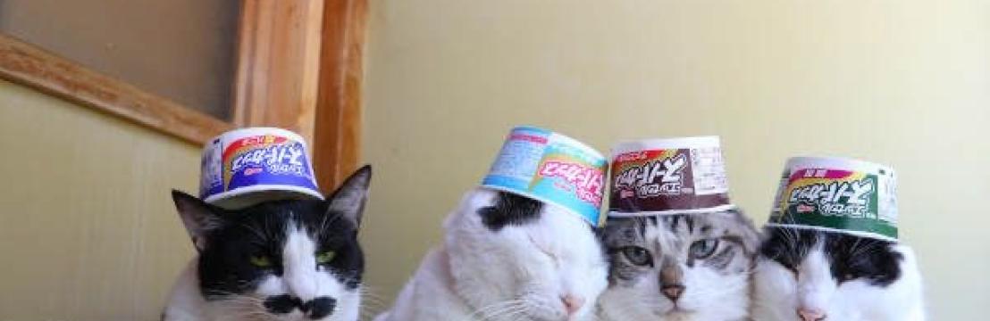 Mono neuronales team