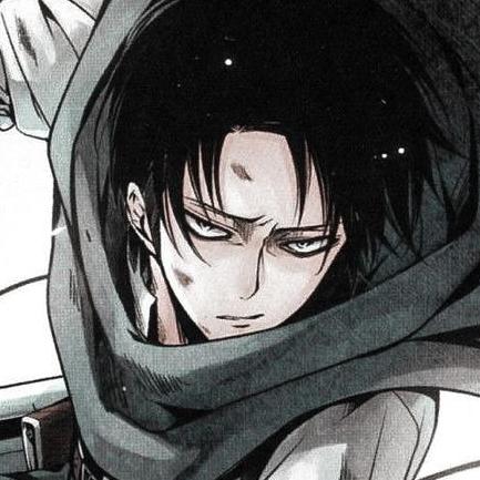 Levi Ackerman 