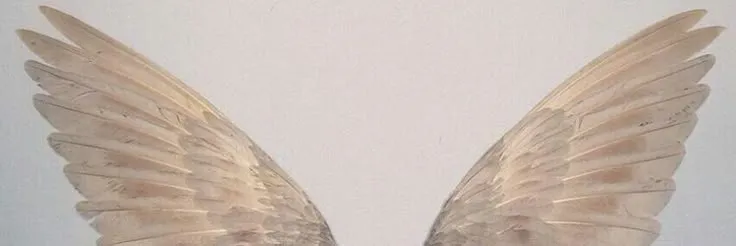 𝘙𝘢𝘥𝘪𝘰 𝘈𝘯𝘨𝘦𝘭