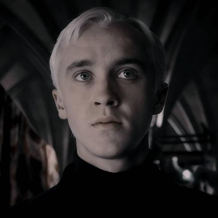 ◜ 𝐃𝐑𝐀𝐂𝐎 𝐌𝐀𝐋𝐅𝐎𝐘 ◞ 