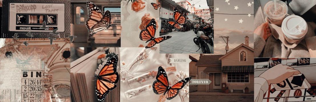 ───── 𝑸𝑼𝑬𝑬𝑵𝑰𝑬 𝐆𝐎𝐋𝐃𝐒𝐓𝐄𝐈𝐍