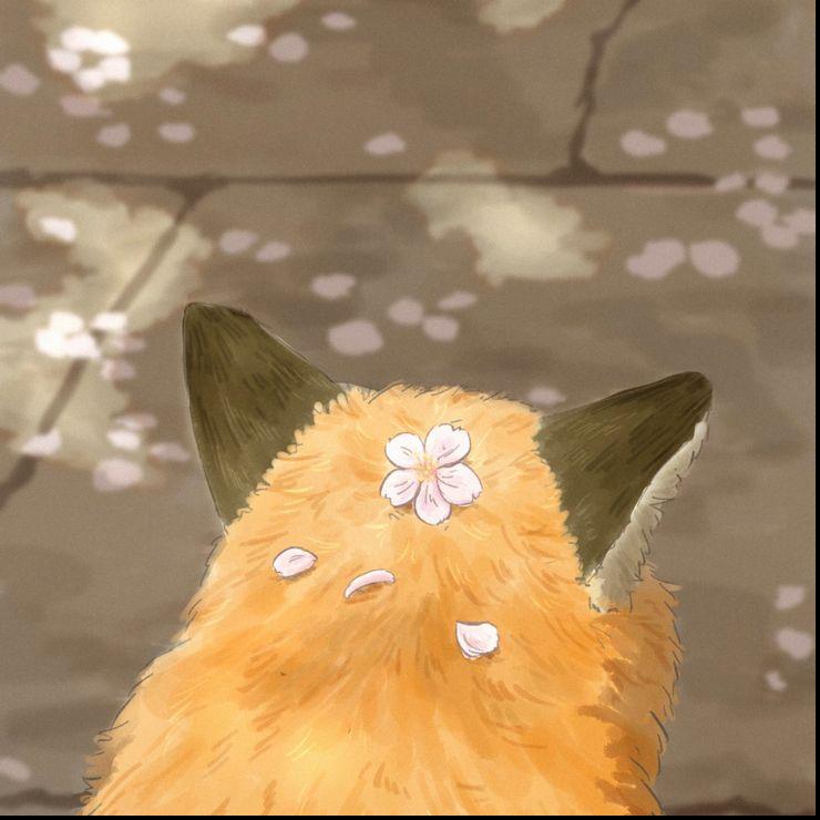 𝐊𝐨𝐭𝐨𝐫𝐢 