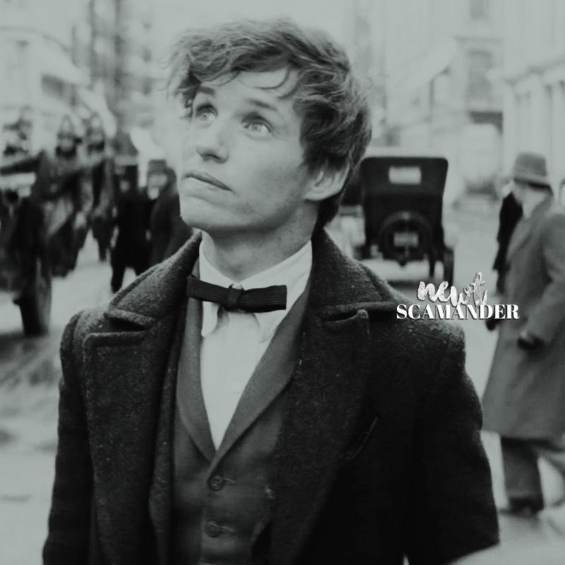 Newt  Scamander