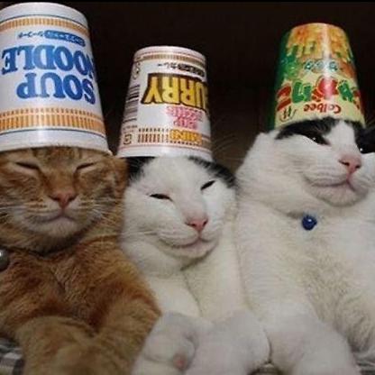 Mono neuronales team