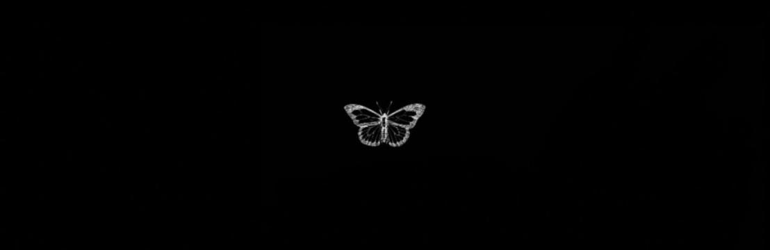 𝙷𝙾𝙻𝙻𝚈  𝚂𝙸𝙽𝙶𝙴𝚁