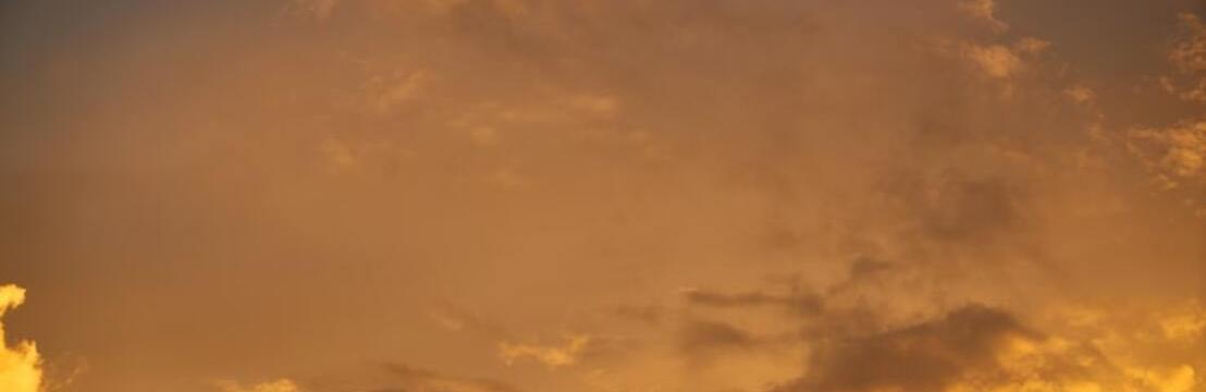 𝖠𝗇𝗇𝖺𝖻𝖾𝗍𝗁 𝖢𝗁𝖺𝗌𝖾