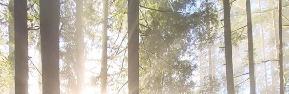 Brianna  Volk&oslash;v 