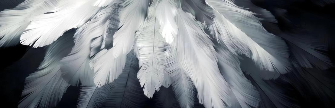 𝓢𝓮𝓵𝓮𝓷𝓲𝓪 𝓐𝓾𝓻𝓸𝓻𝓪𝓮 