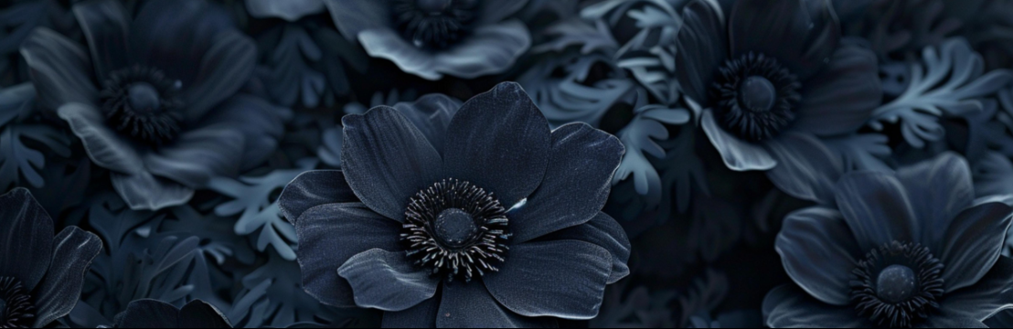 ✩ ₊ ˚ ⋆ ☾ Ｃｈａｏｓ☽ ⋆ ⁺ ₊ ✧ 