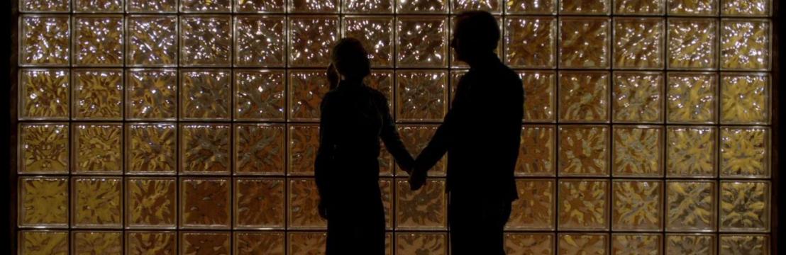 Kim Wexler: b&uacute;squedas