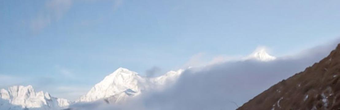 Finw&euml;  &Dagger; elf&bull;&bull;