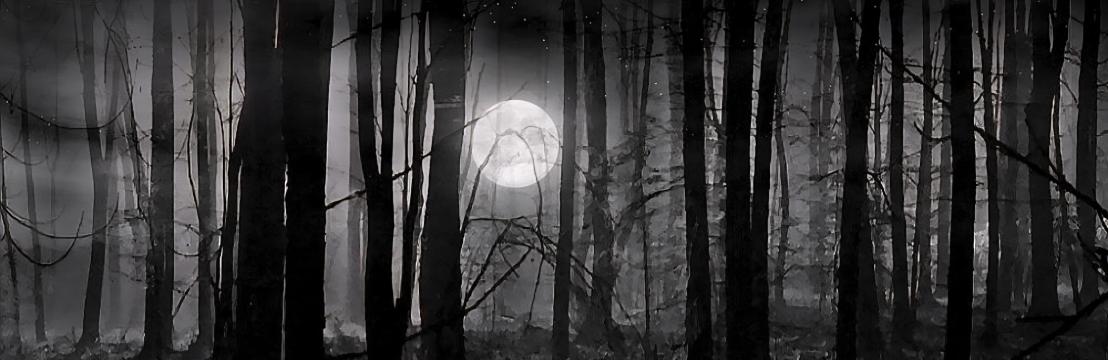 Vɪᴄᴛᴏʀ  Vᴀɴ Dᴏʀᴛ