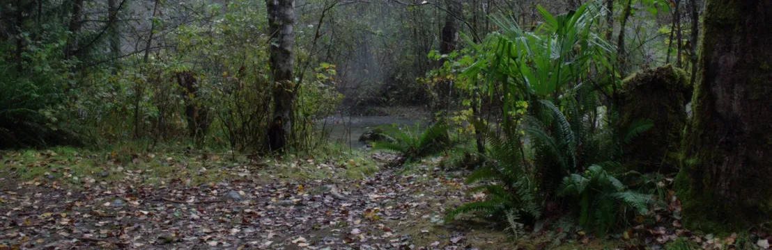 𝙹𝙾𝙷𝙽  𝚂𝙼𝙸𝚃𝙷