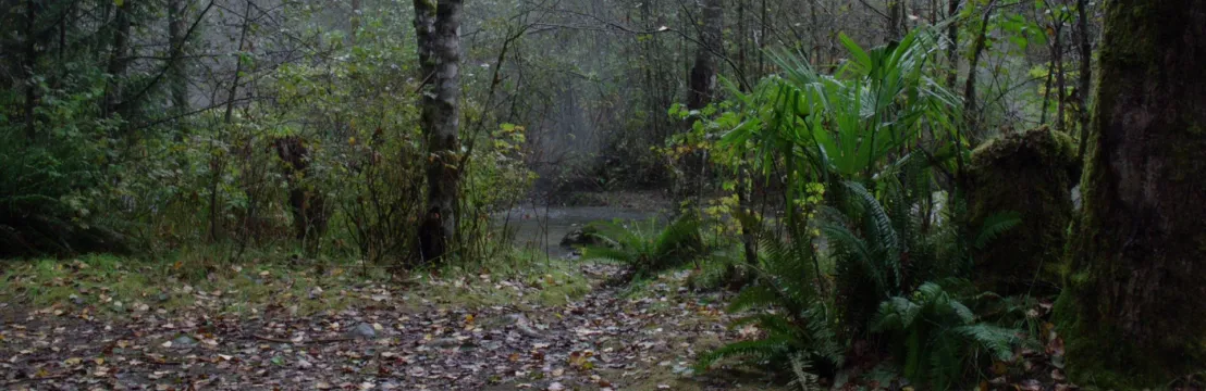 𝑹𝒐𝒋𝒂 &middot;𝑹𝑼𝑩𝒀&middot;