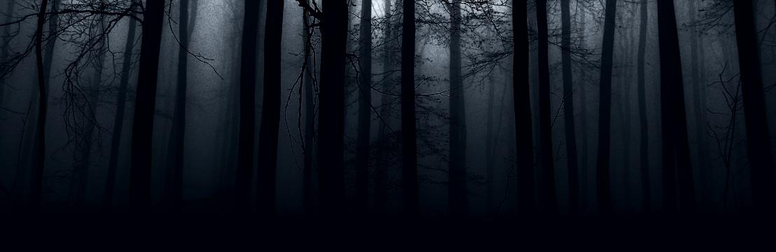 𝕲𝖍𝖆𝖑𝖉𝖗𝖆𝖓 