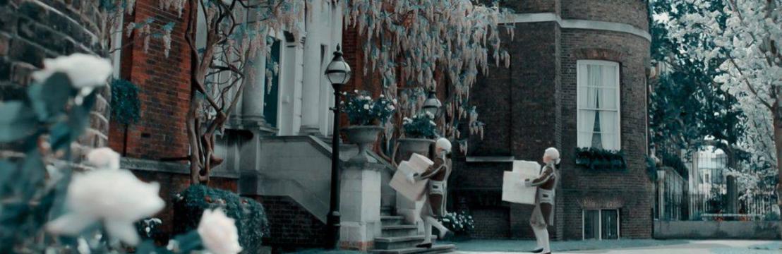 𝐒𝐎𝐏𝐇𝐈𝐄 𝐁𝐀𝐄𝐊