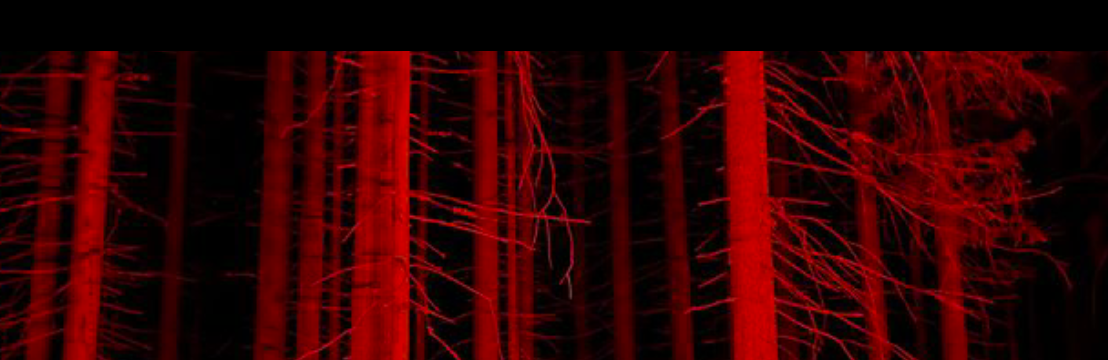 Vermilion  Wraith