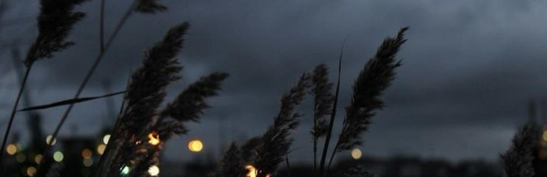 𝑳𝒐𝒏𝒅𝒐𝒏  𝑭𝒆𝒏𝒈