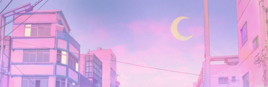 🌸🌺  Aiko Hoshino星野  🌺🌸 