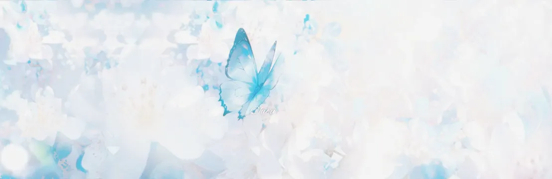 𝑪𝒉𝒊𝒆𝒓𝒊  𝑴𝒐𝒐𝒏𝒗𝒆𝒊𝒍