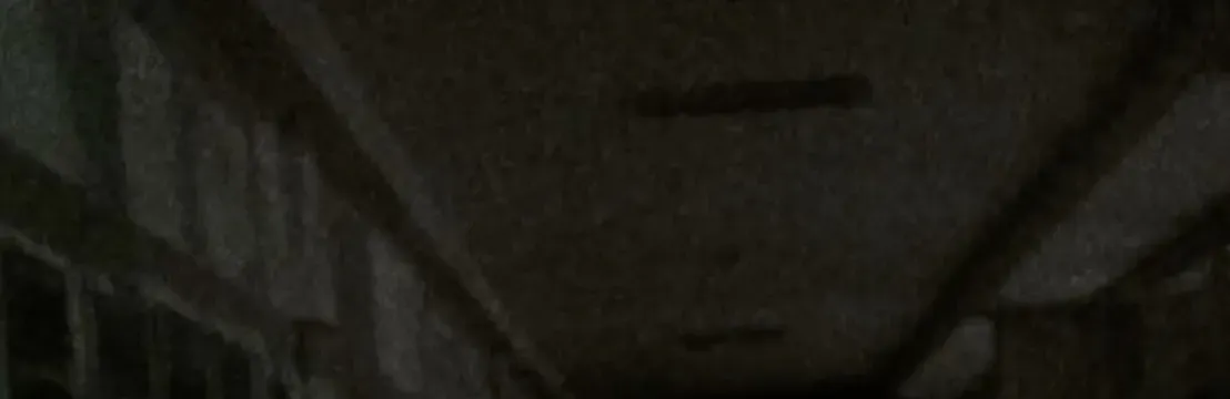 𝐀𝐋𝐌𝐀 